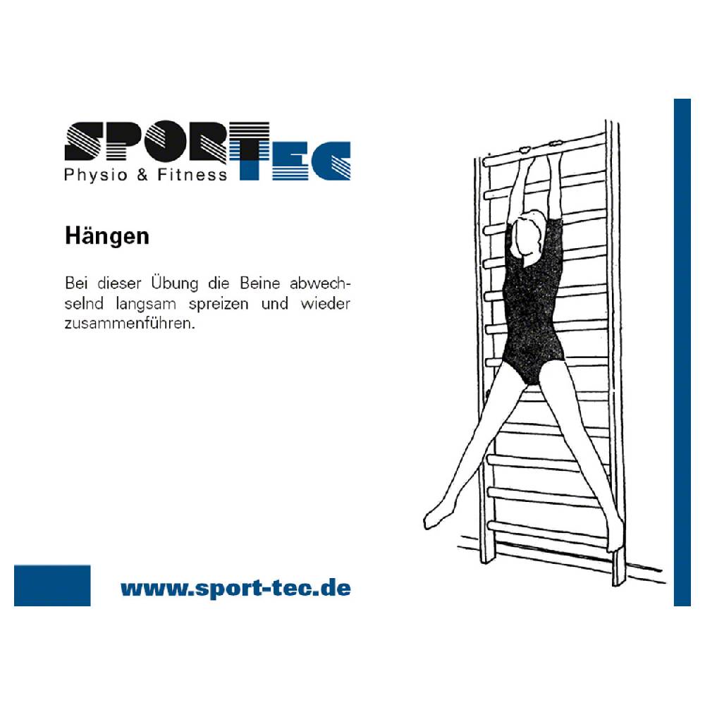 Sport Tec Sprossenwand Kombination-Set, komplett, 3-tlg Zeitlich begrenztes Angebot