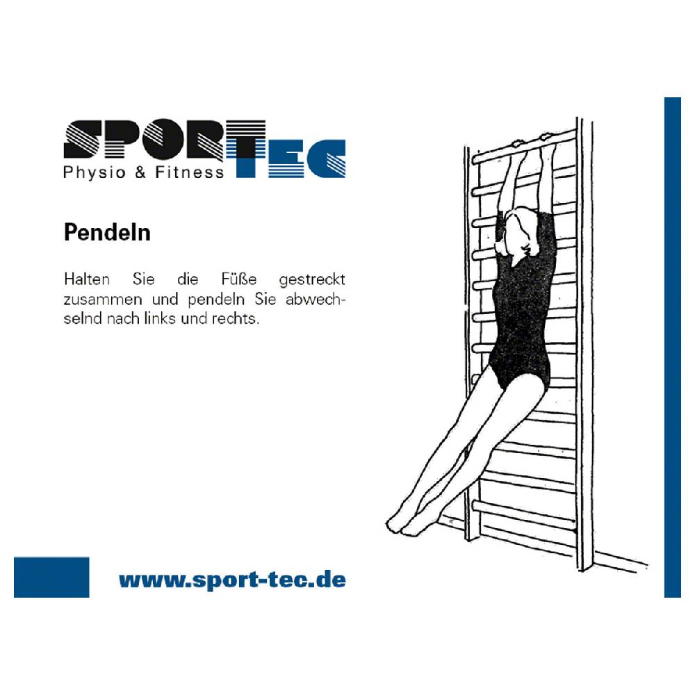 Sport Tec Sprossenwand Kombination-Set, komplett, 3-tlg Zeitlich begrenztes Angebot
