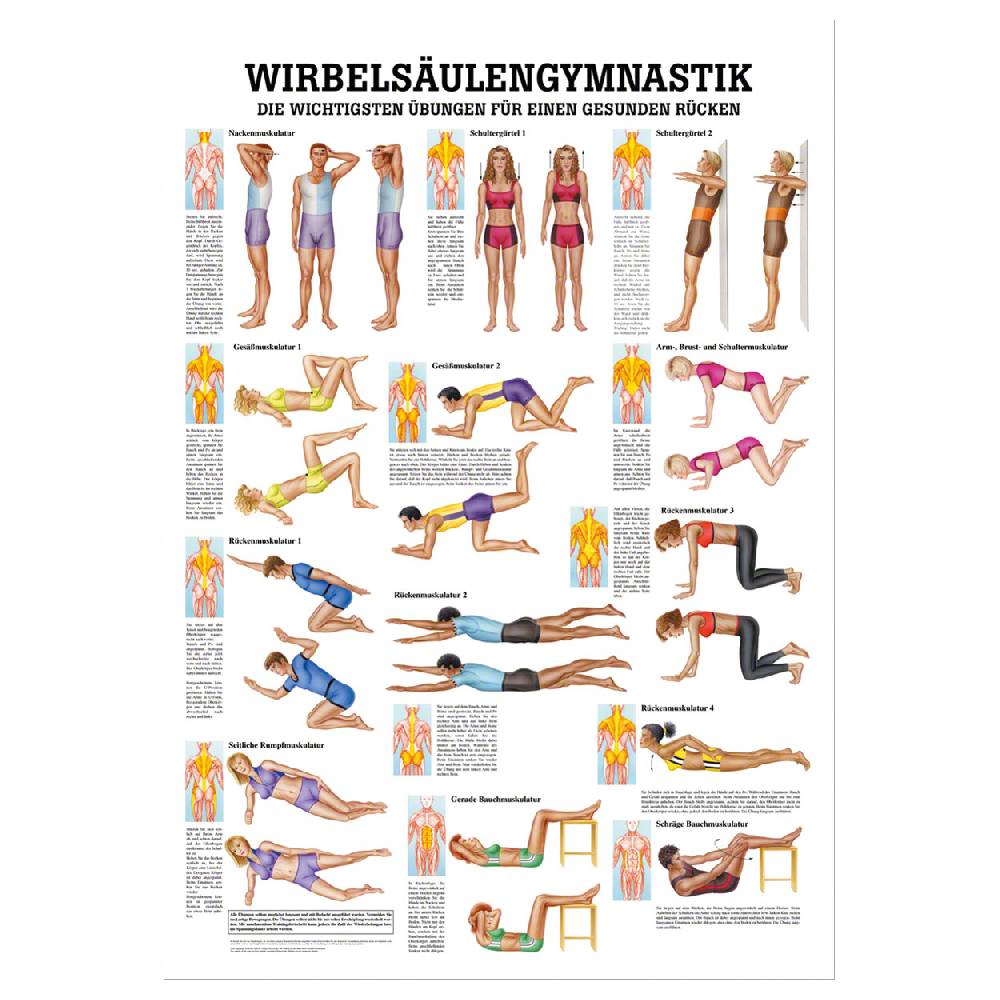 Sport Tec Mini-Poster "Wirbelsäulengymnastik", LxB 34x24 cm