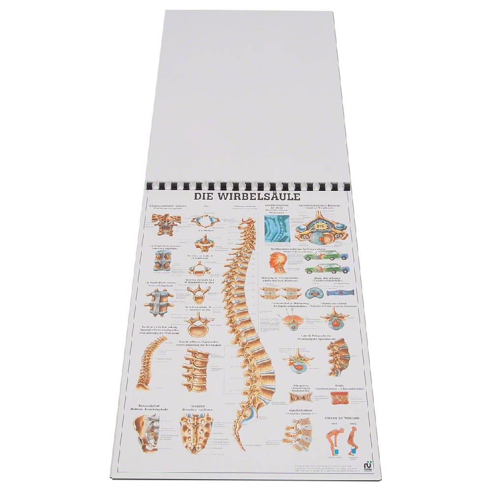 Sport Tec Mini-Poster Set, 20 Stück Blitzangebot