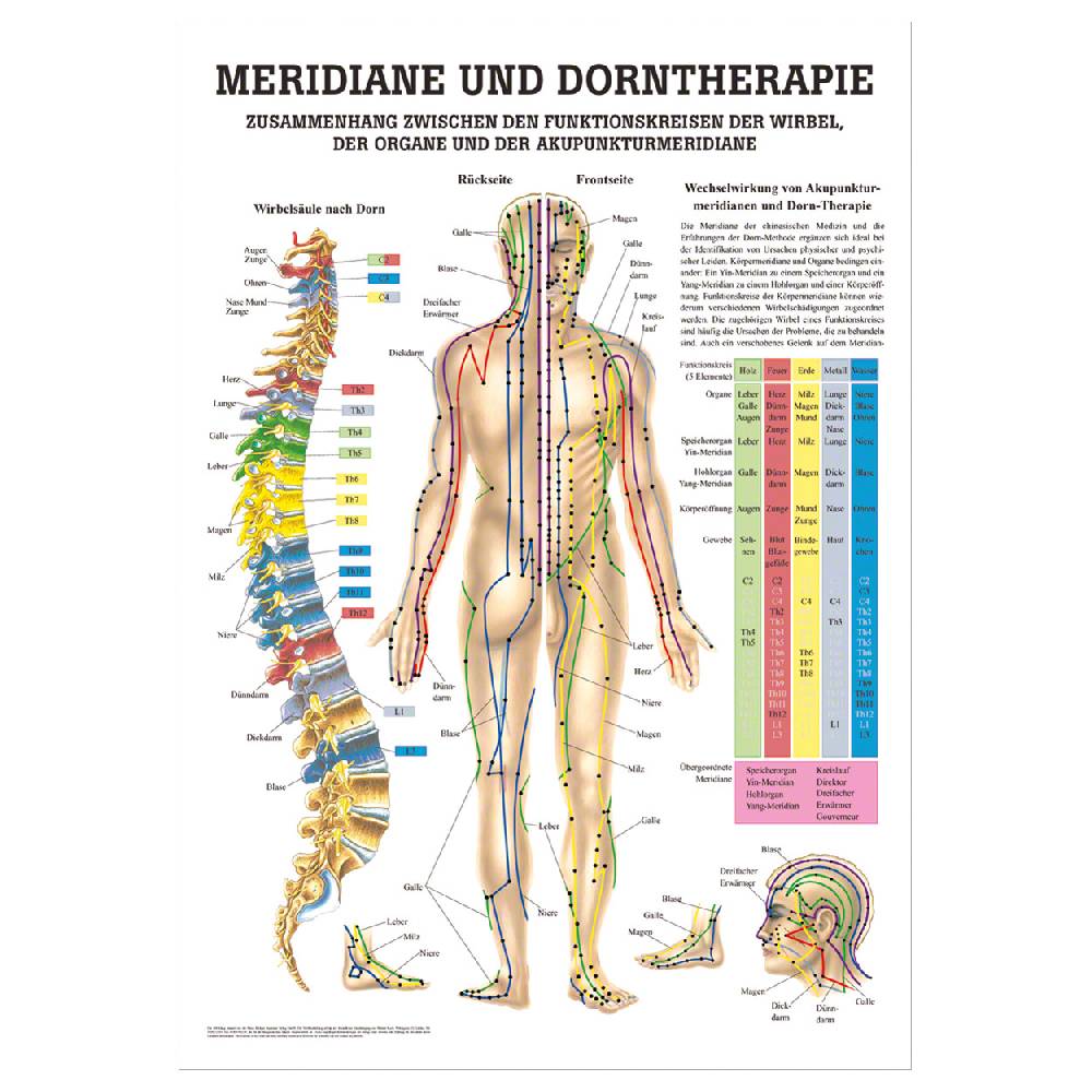 Sport Tec Mini-Poster "Meridiane u. Dorn", LxB 34x24 cm