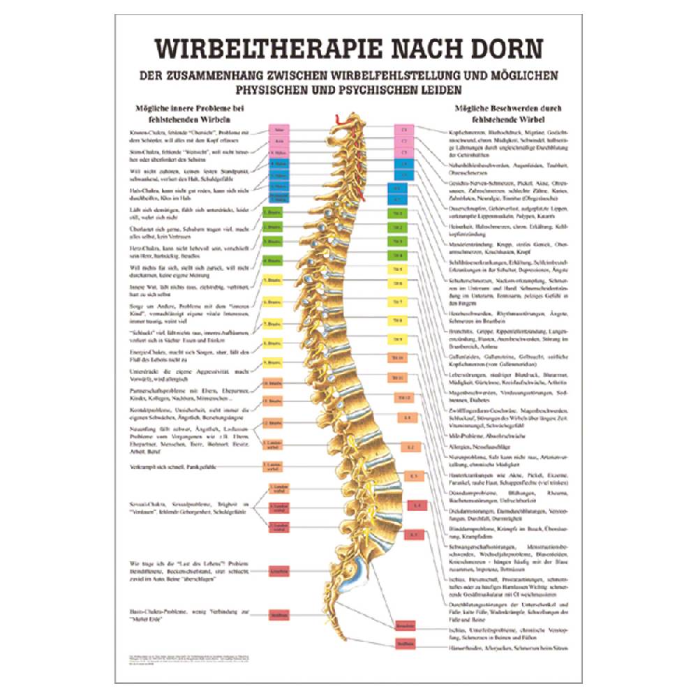 Sport Tec Mini-Poster "Dorntherapie", LxB 34x24 cm