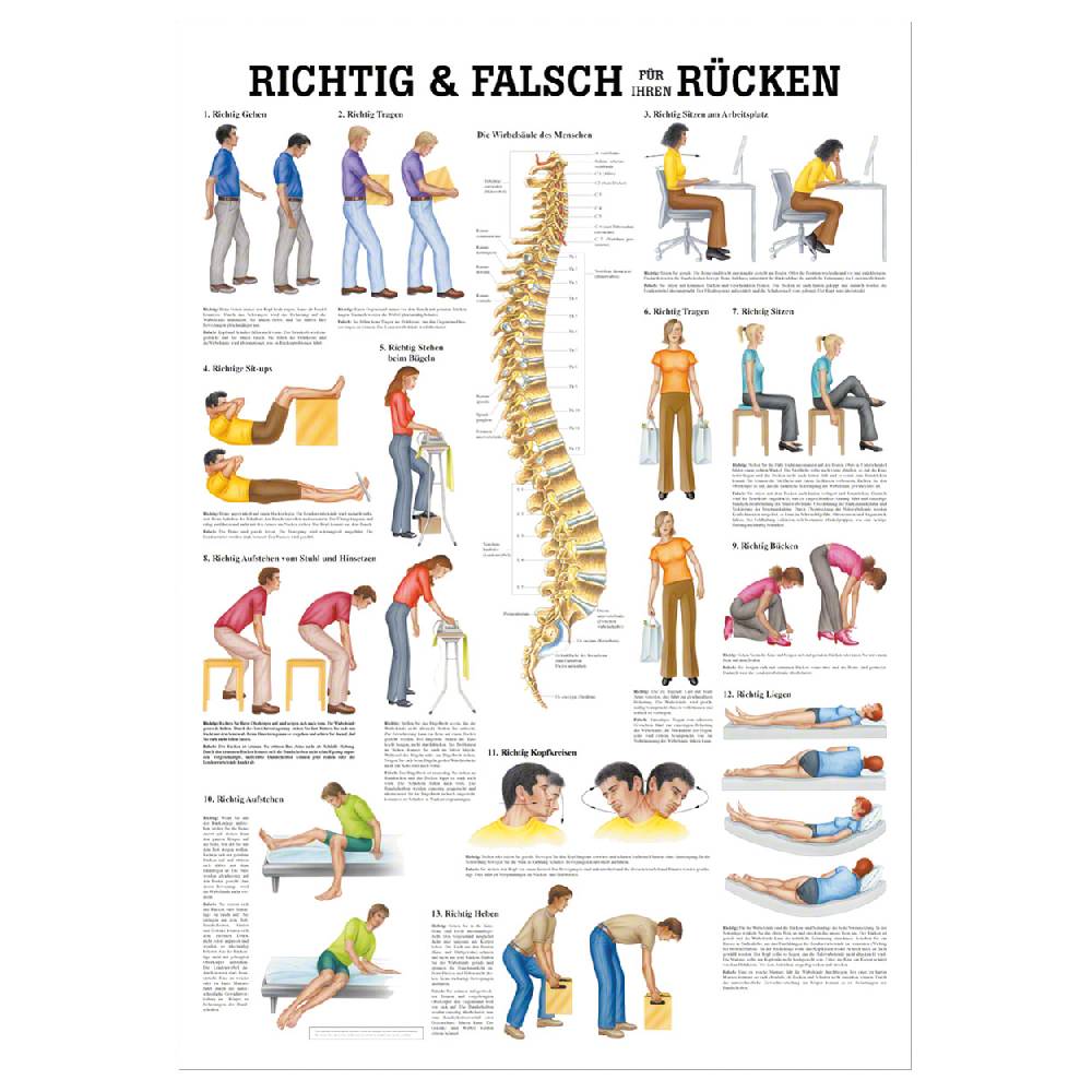 Sport Tec Mini-Poster "Richtig u. falsch für Ihren Rücken", LxB 34x24 cm