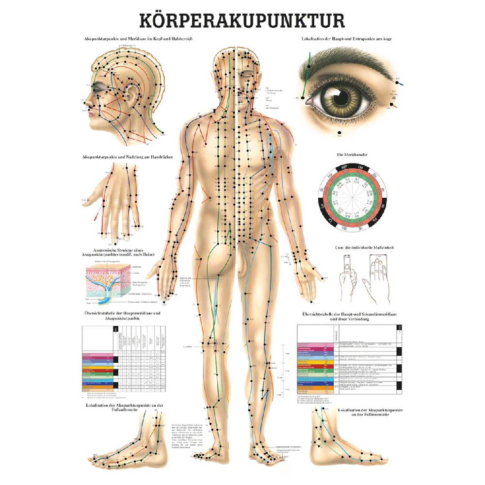 Sport Tec Mini-Poster "Akupunktur", LxB 34x24 cm Kostenlose Rückgabe