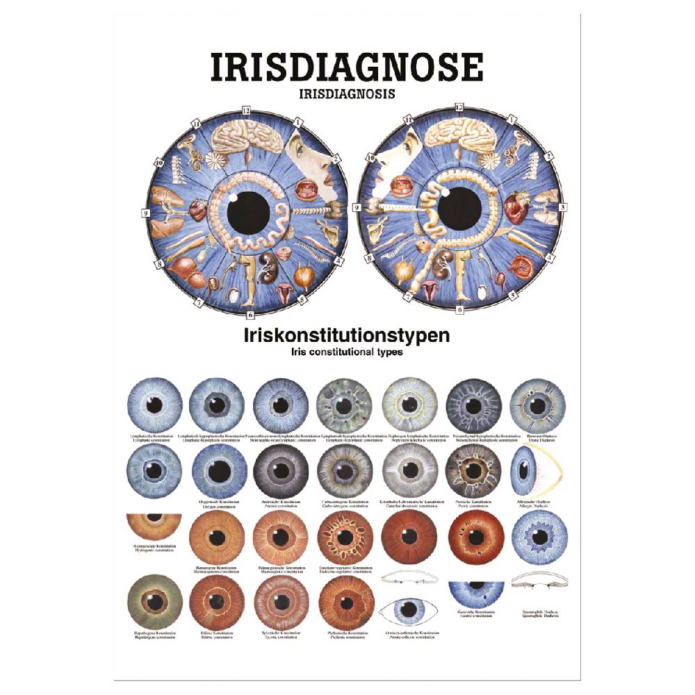 Sport Tec Mini-Poster "Irisdiagnose", LxB 34x24 cm Bis zu 60% Rabatt
