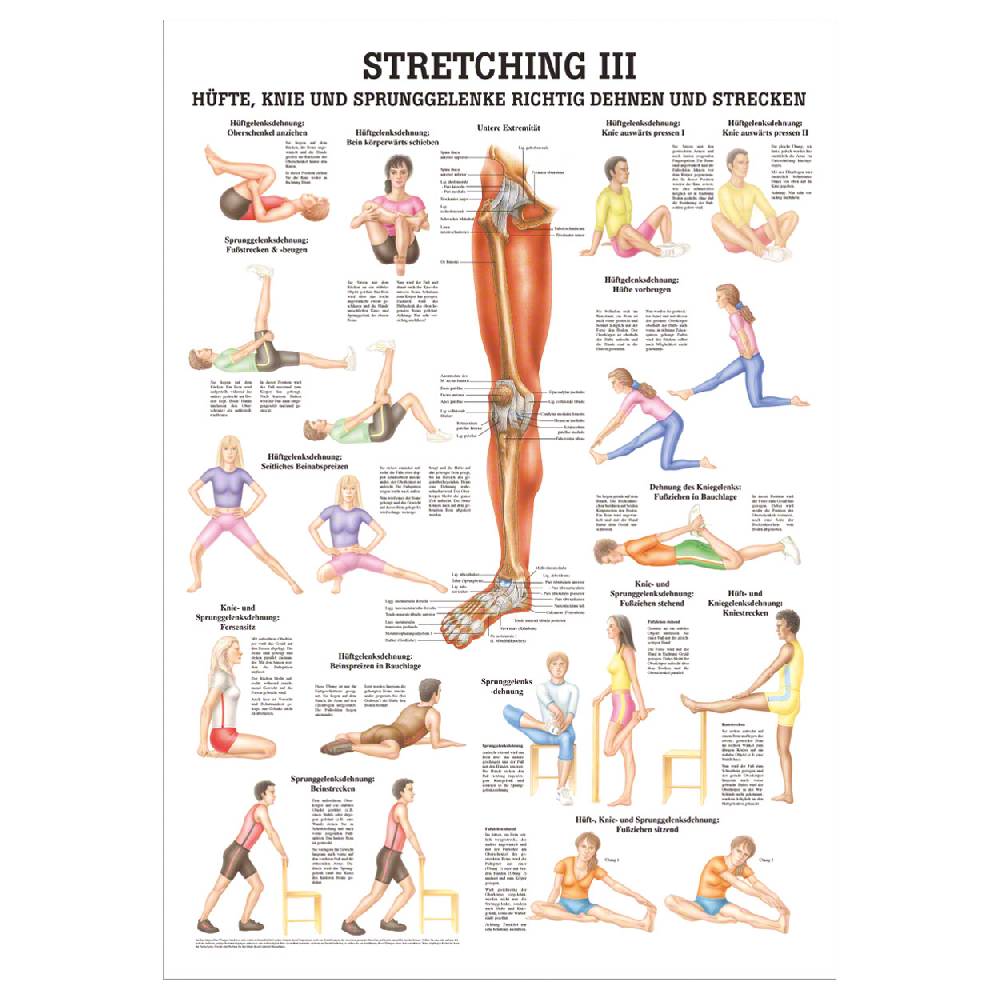 Sport Tec Mini-Poster "Stretching III", LxB 34x24 cm 2025