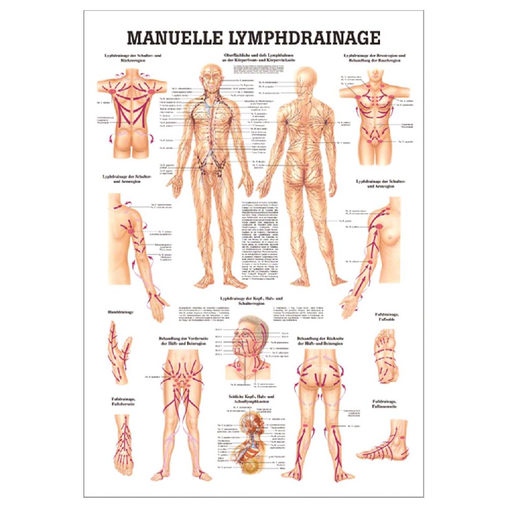 Sport Tec Mini-Poster "Manuelle Lymphdrainage", LxB 34x24 cm