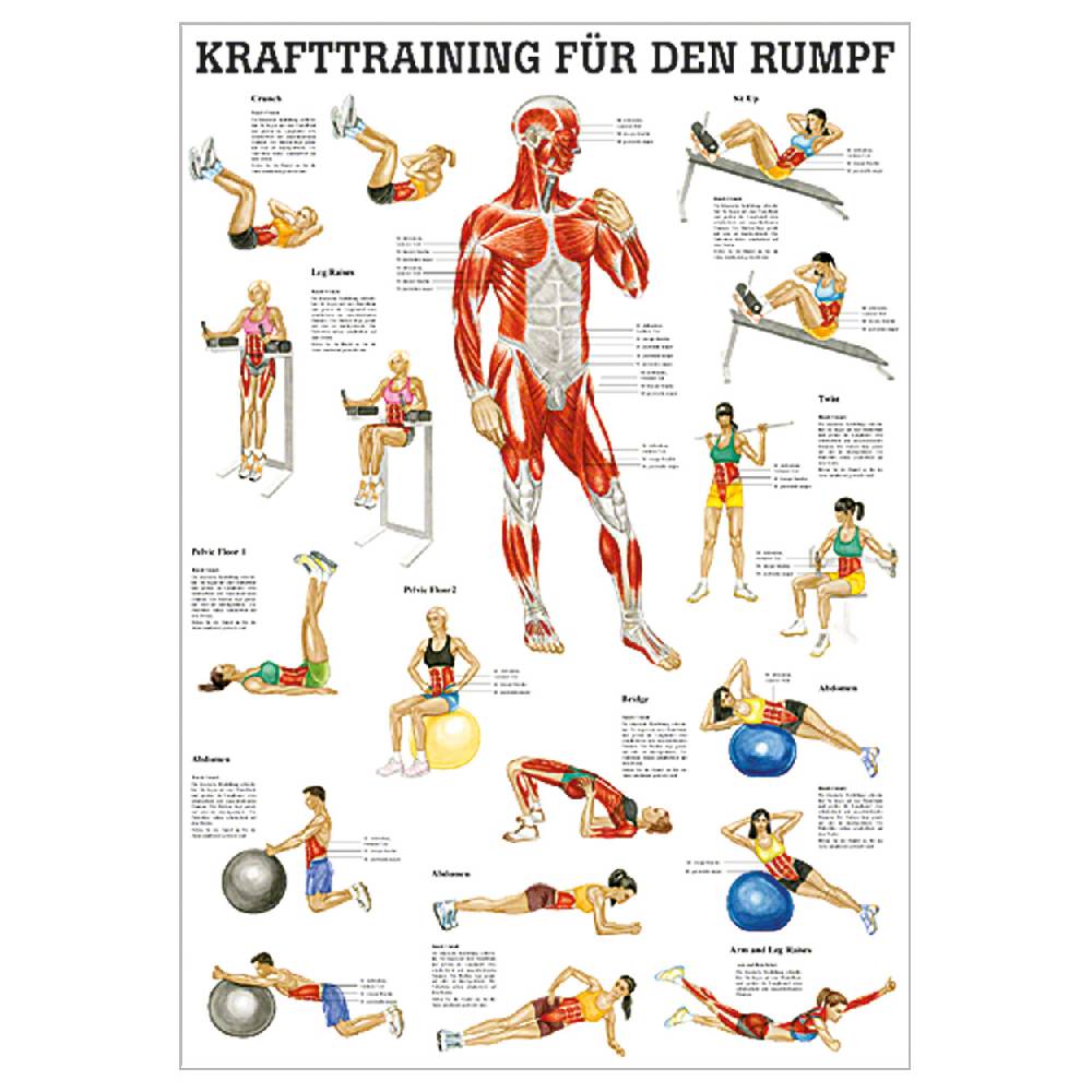 Sport Tec Mini-Poster "Krafttraining Rumpf", LxB 34x24 cm