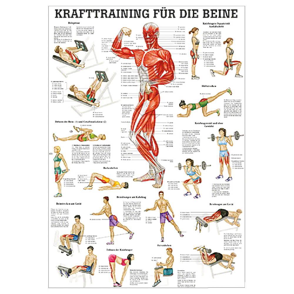 Sport Tec Mini-Poster "Krafttraining Beine", LxB 34x24 cm