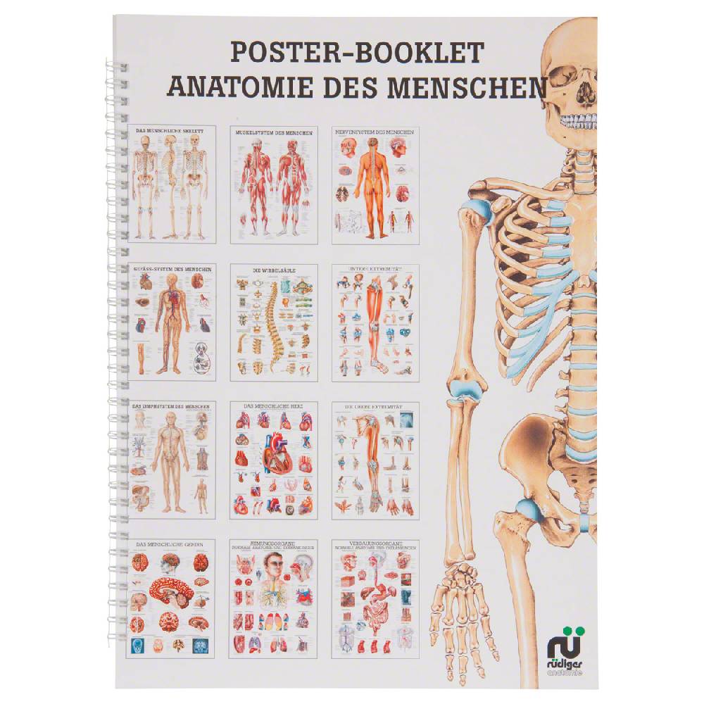 Sport Tec Mini-Poster Booklet "Anatomie des Menschen", LxB 34x24 cm, 12 Poster
