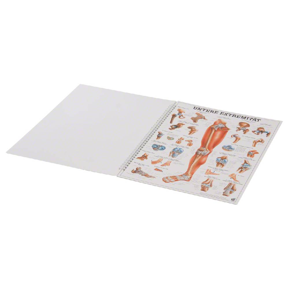 Sport Tec Mini-Poster Booklet "Anatomie des Menschen", LxB 34x24 cm, 12 Poster Limitierter Zeitrabatt