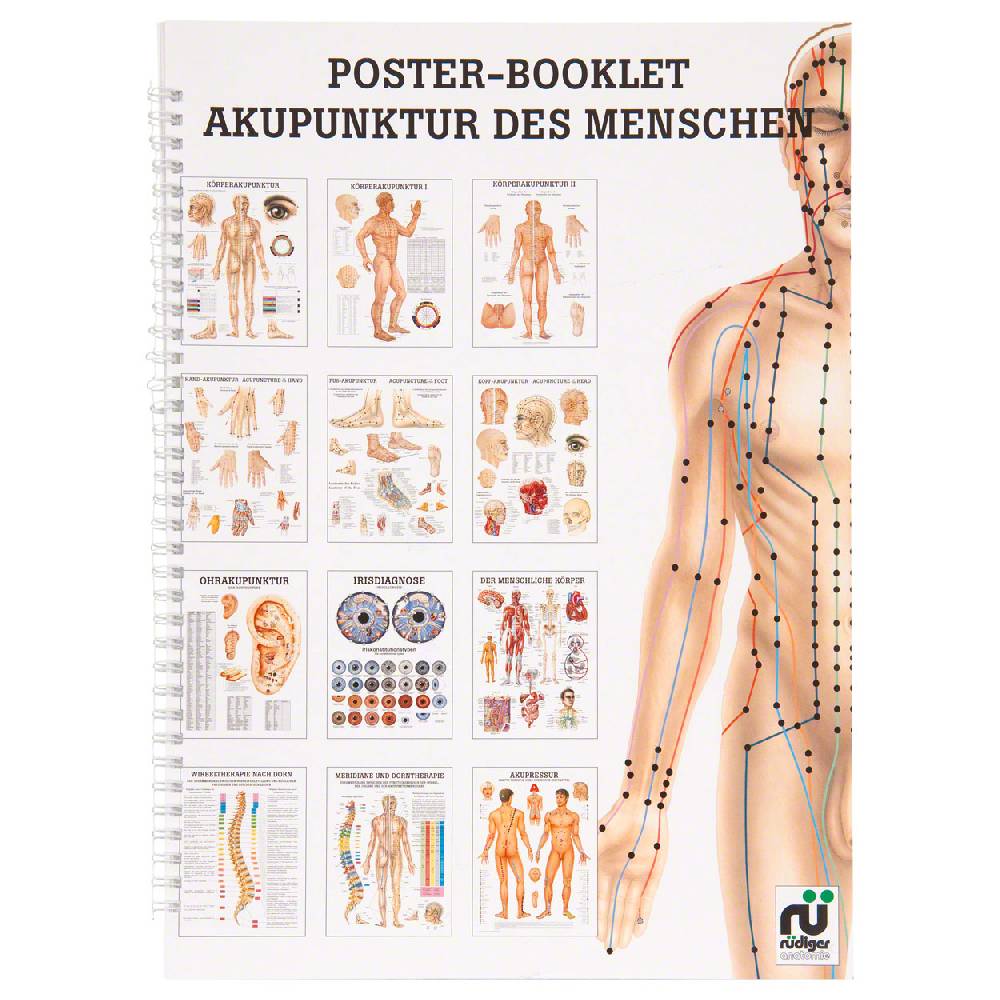 Sport Tec Mini-Poster Booklet "Akupunktur des Menschen", LxB 34x24 cm, 12 Poster