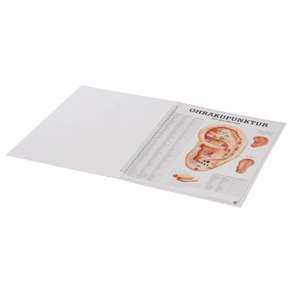 Sport Tec Mini-Poster Booklet "Akupunktur des Menschen", LxB 34x24 cm, 12 Poster Fabrikpreis