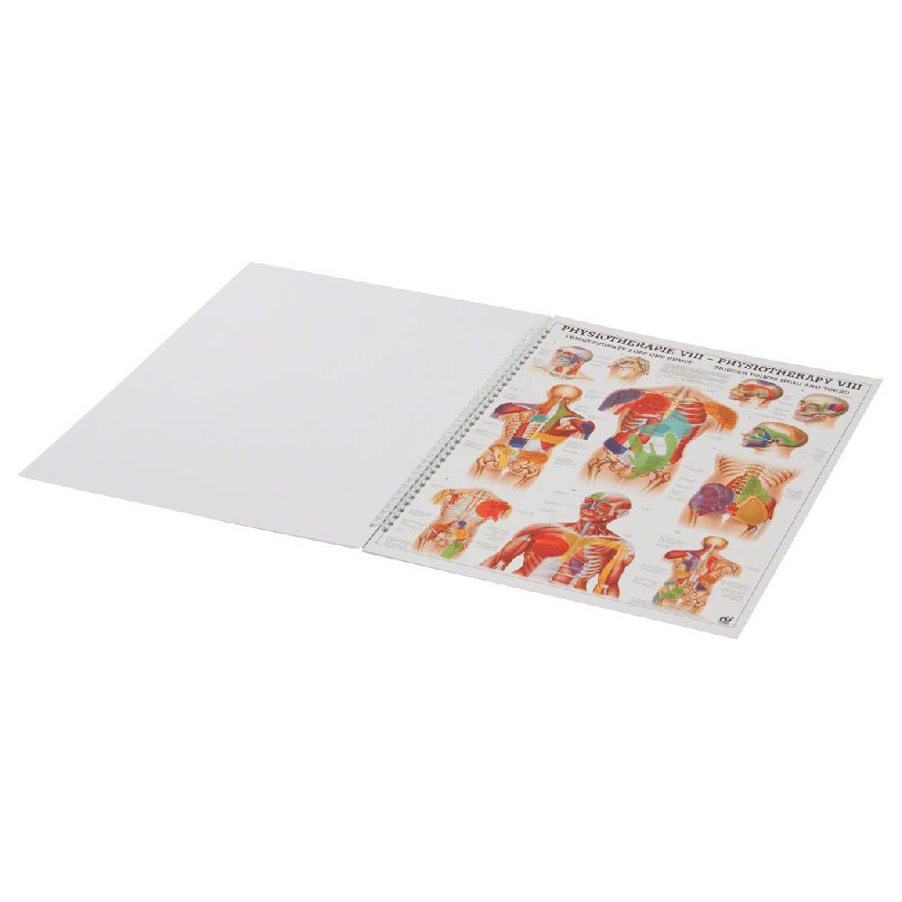 Sport Tec Mini-Poster Booklet "Physiotherapie des Menschen", LxB 34x24 cm, 12 Poster Sonderangebot