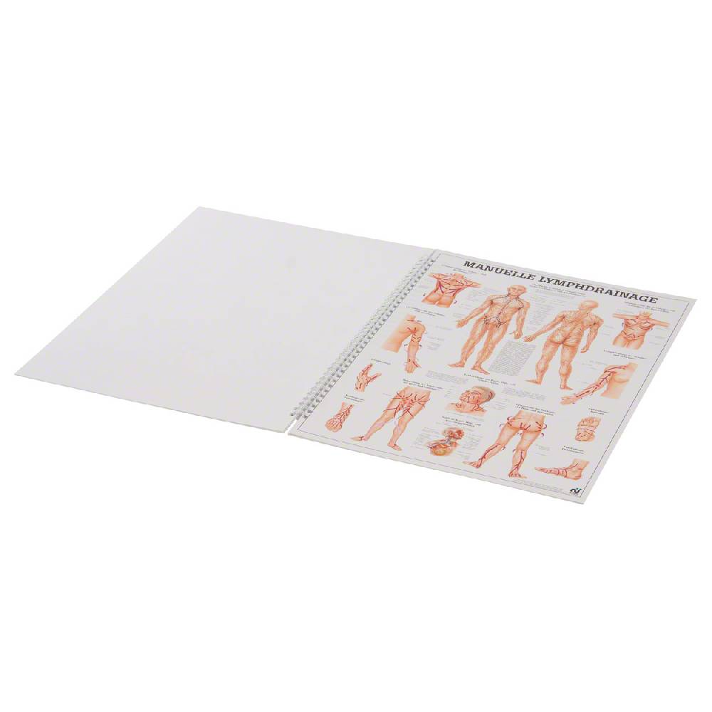 Sport Tec Mini-Poster Booklet "Naturheilkunde des Menschen", LxB 34x24 cm, 12 Poster Rabatt