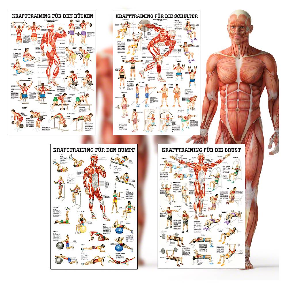 Sport Tec Mini-Poster Booklet "Fitness und Krafttraining", LxB 34x24 cm, 12 Poster Günstig kaufen