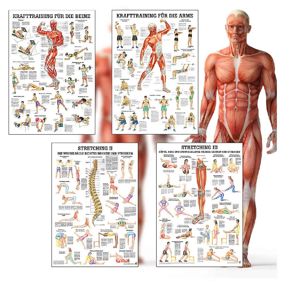 Sport Tec Mini-Poster Booklet "Fitness und Krafttraining", LxB 34x24 cm, 12 Poster Günstig kaufen