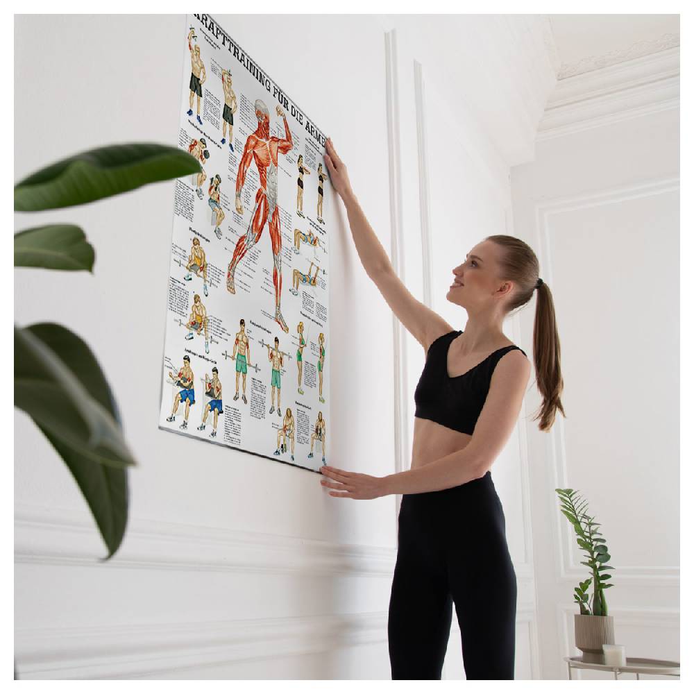 Sport Tec Lehrtafel "Krafttraining Arme", LxB 100x70 cm Flash Sale
