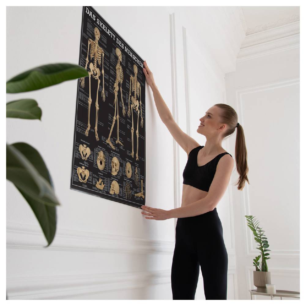 Sport Tec Lehrtafel "Das Skelett des Menschen", LxB 100x70 cm Black Friday
