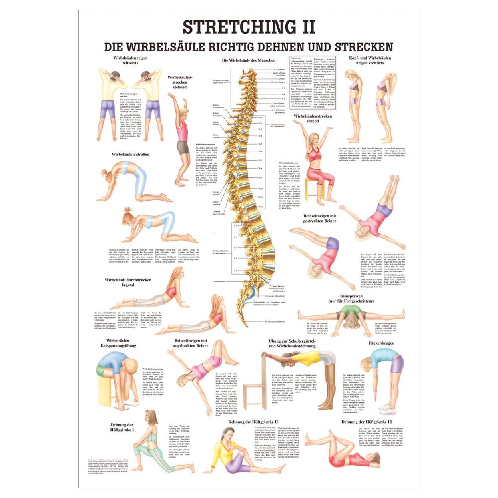 Sport Tec Lehrtafel "Stretching II", LxB 100x70 cm Cyber Monday