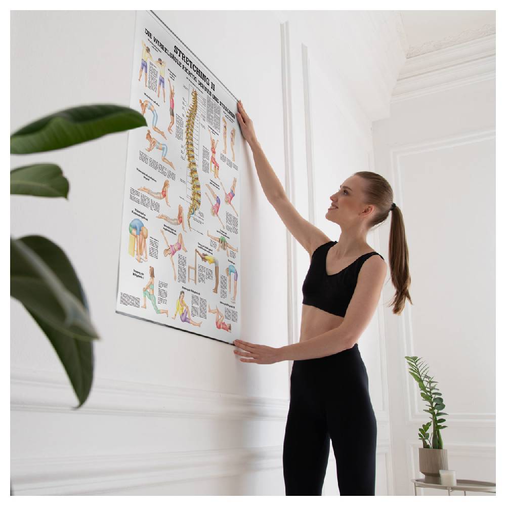 Sport Tec Lehrtafel "Stretching II", LxB 100x70 cm Cyber Monday