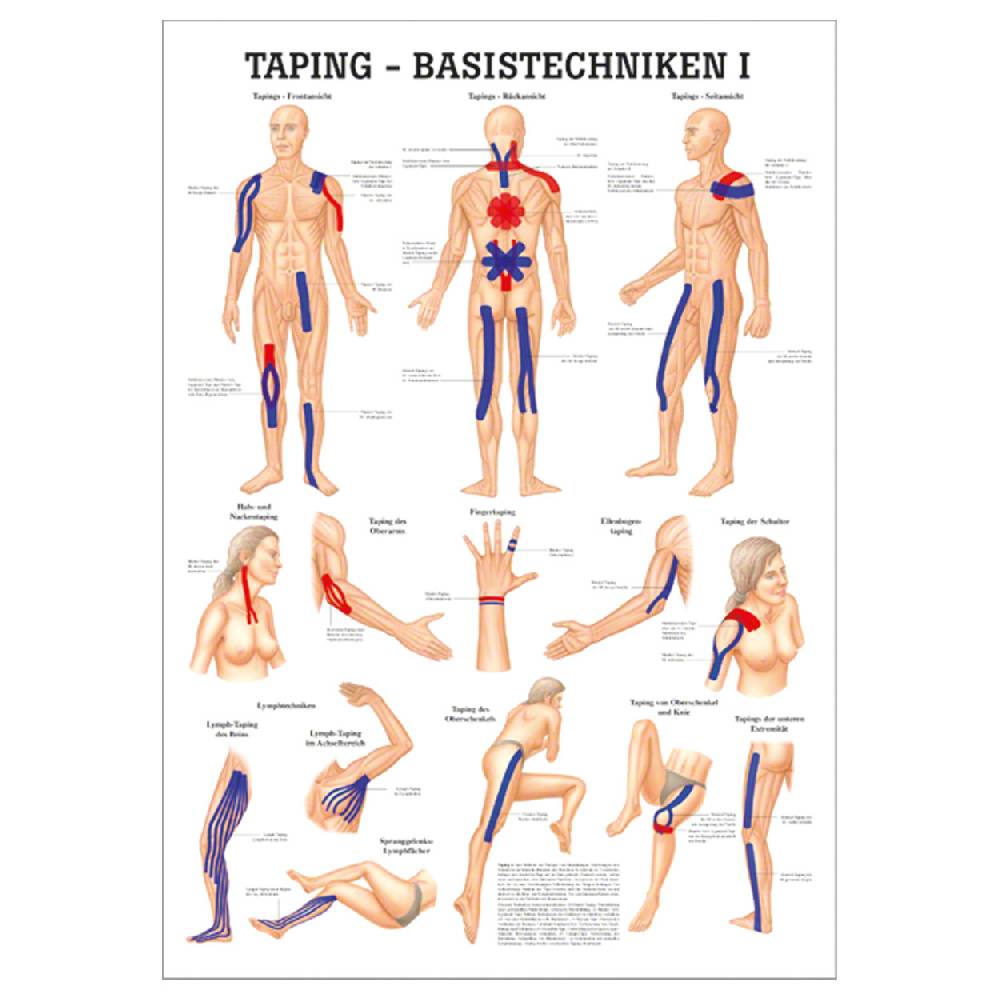 Sport Tec Lehrtafel "Taping- Basistechniken I", LxB 100x70 cm Weihnachtsangebot