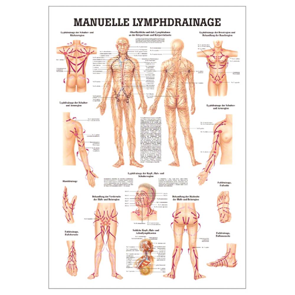Sport Tec Lehrtafel "Manuelle Lymphdrainage", LxB 100x70 cm