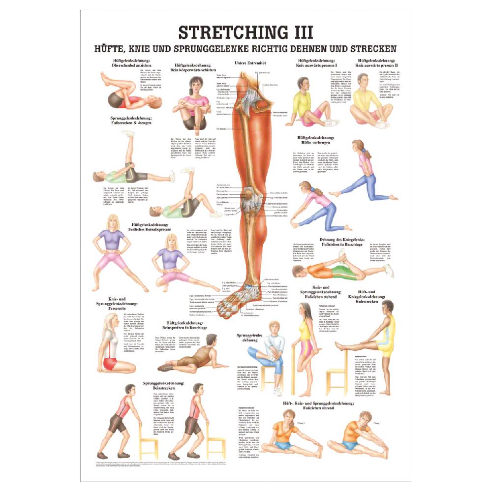 Sport Tec Lehrtafel "Stretching III", LxB 100x70 cm