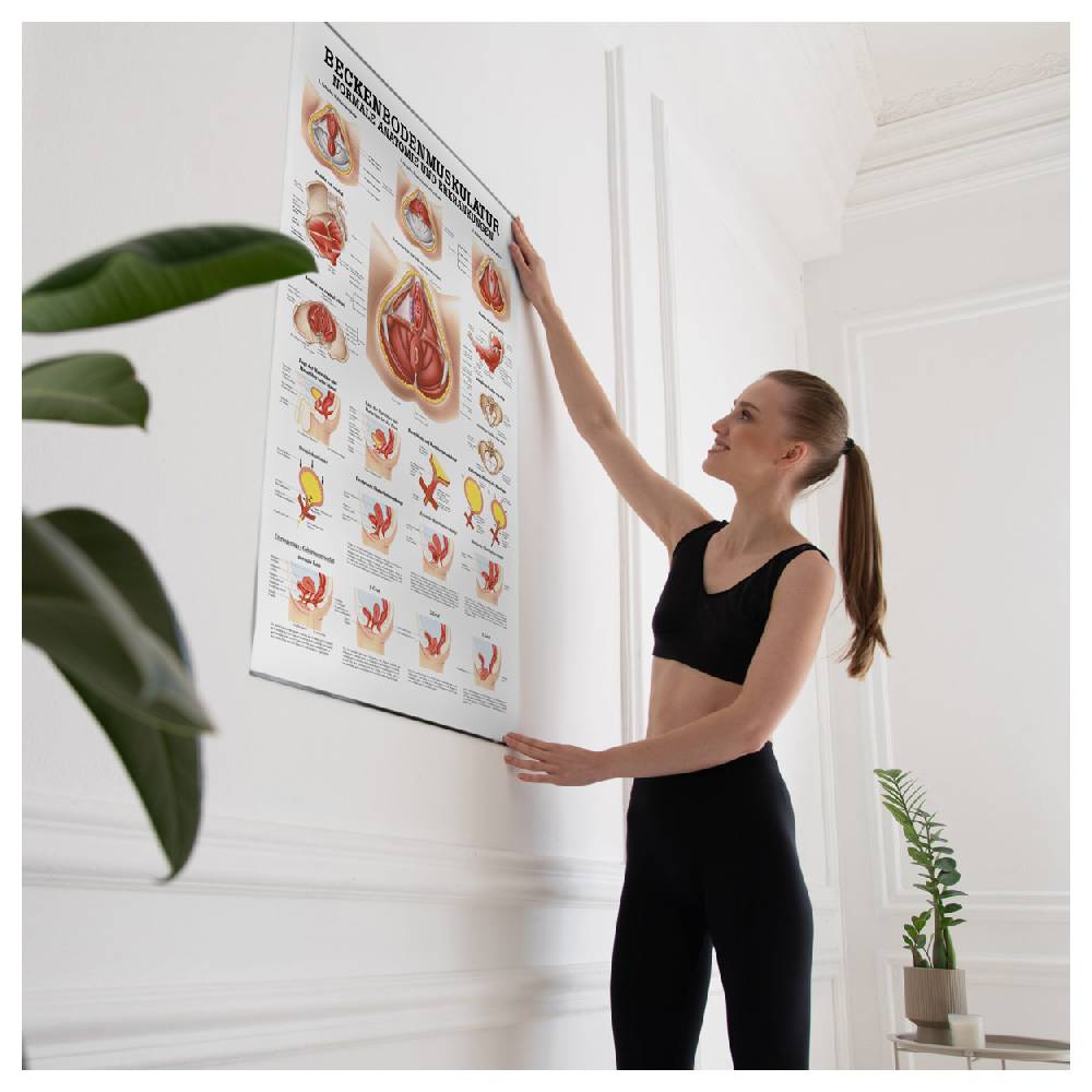 Sport Tec Lehrtafel "Beckenbodenmuskulatur", LxB 100x70 cm Top Angebot