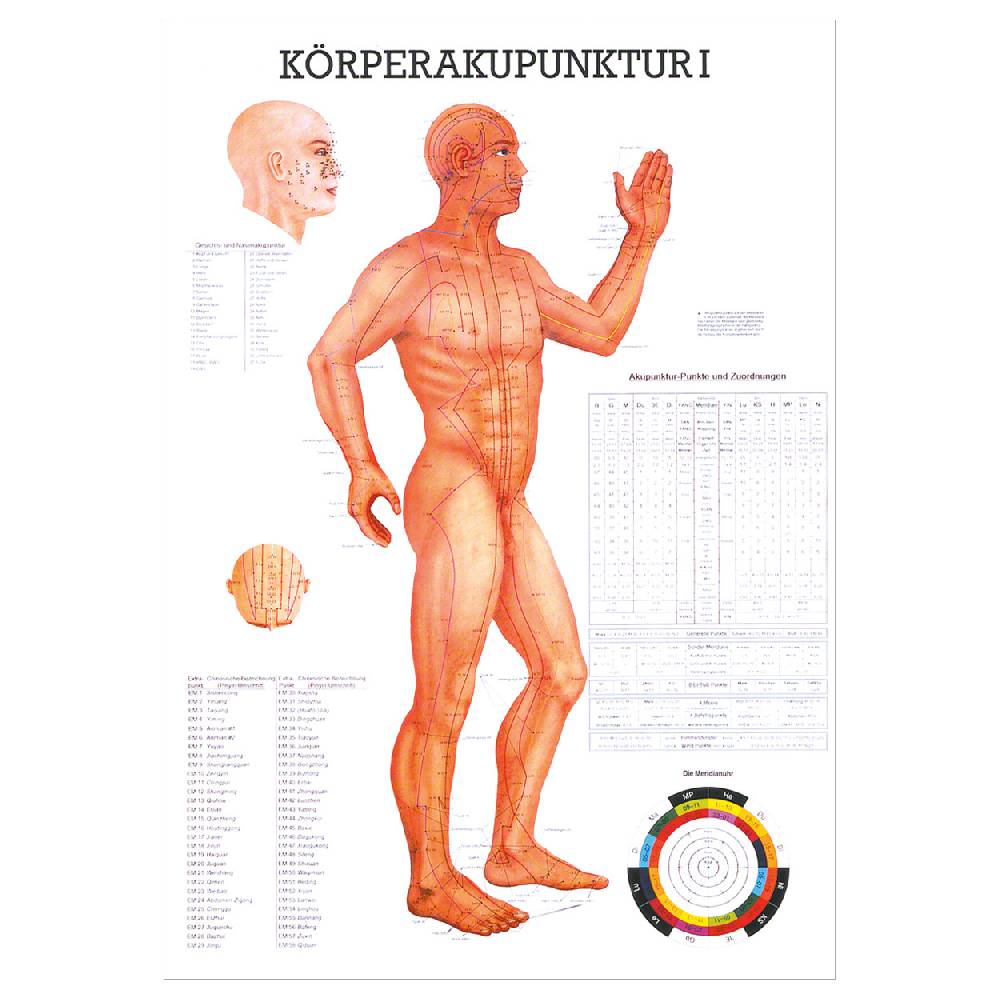 Sport Tec Lehrtafel "Körperakupunktur I" LxB 100x70 cm