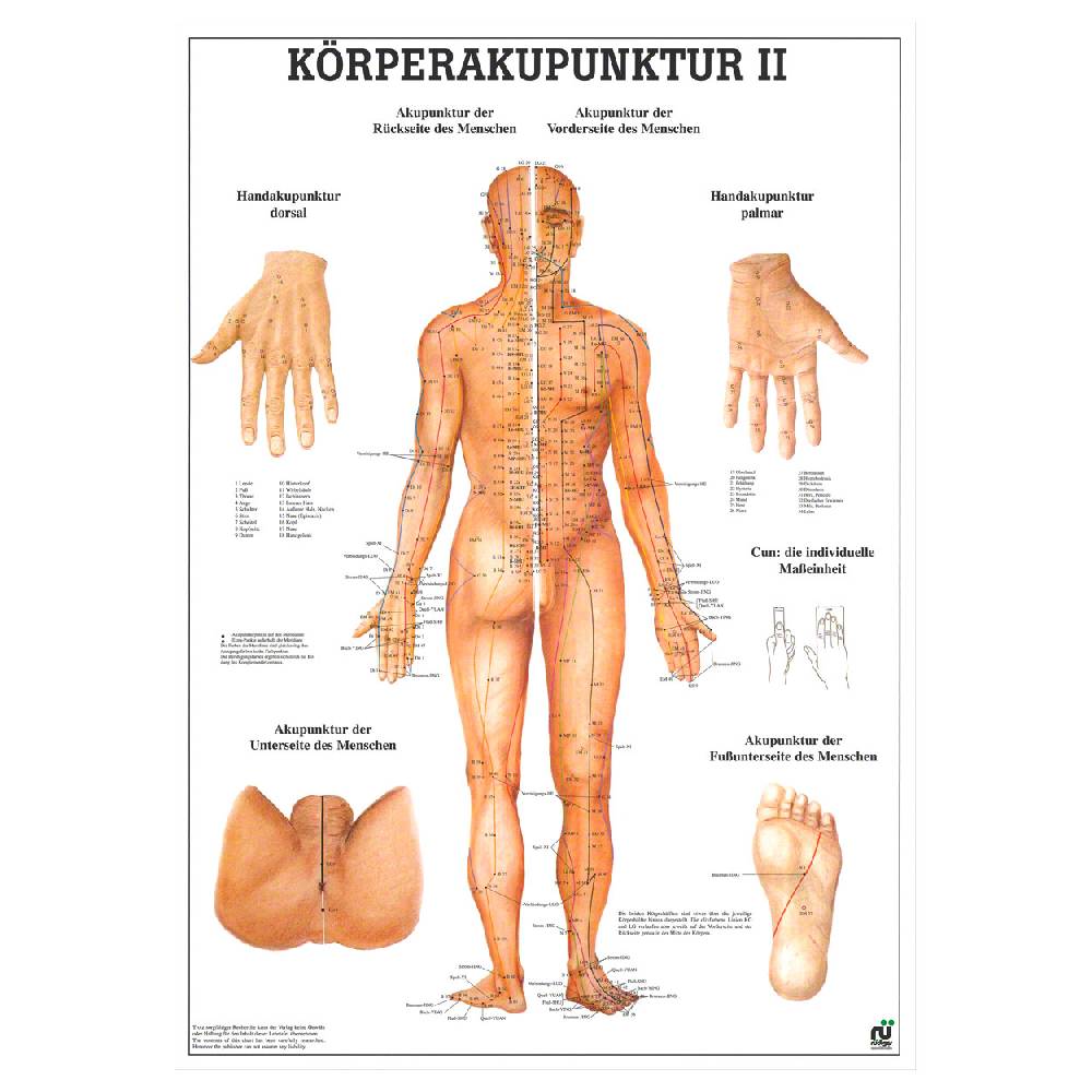 Sport Tec Lehrtafel "Körperakupunktur II", LxB 100x70 cm Neuheiten