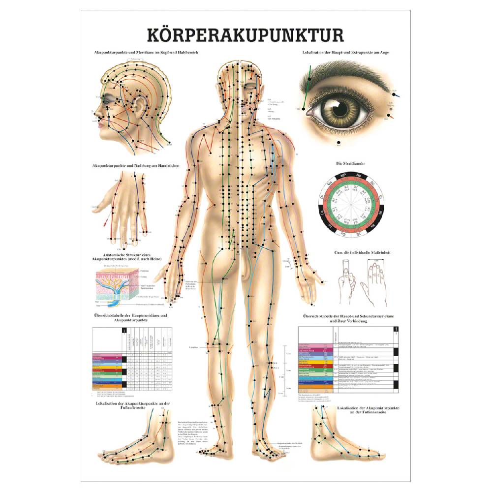 Sport Tec Lehrtafel "Körperakupunktur", LxB 100x70 cm