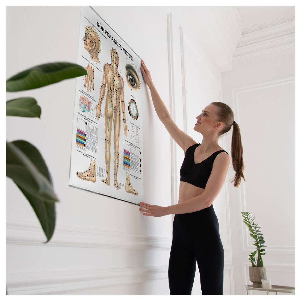 Sport Tec Lehrtafel "Körperakupunktur", LxB 100x70 cm Tägliche Deals