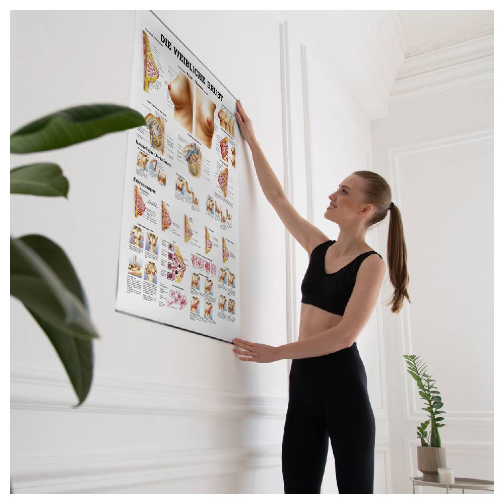 Sport Tec Lehrtafel "Weibliche Brust", LxB 100x70 cm Letzter Tag
