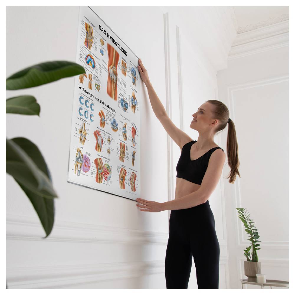 Sport Tec Lehrtafel "Das Kniegelenk", LxB 100x70 cm Zeitbegrenzte Promotion