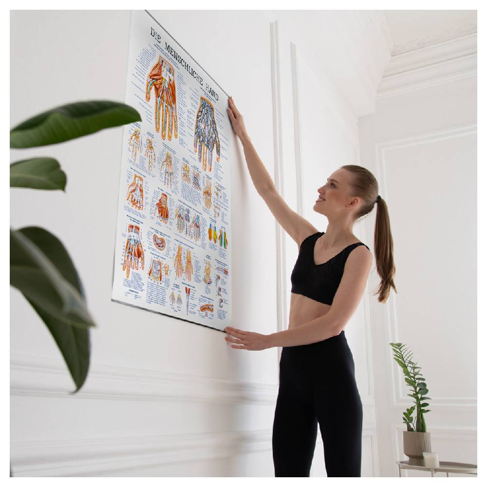 Sport Tec Lehrtafel "Die Hand", LxB 100x70 cm Super Rabatt