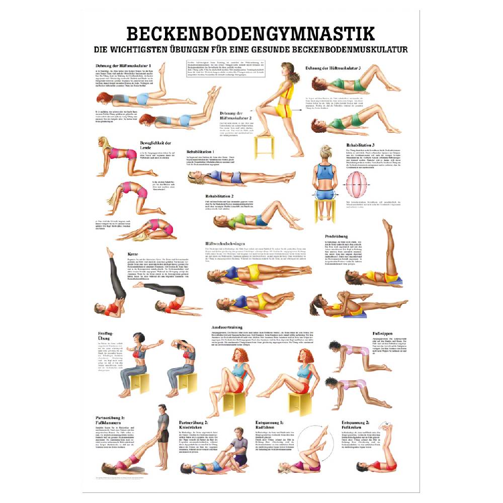 Sport Tec Lehrtafel "Beckenbodengymnastik", LxB 100x70 cm