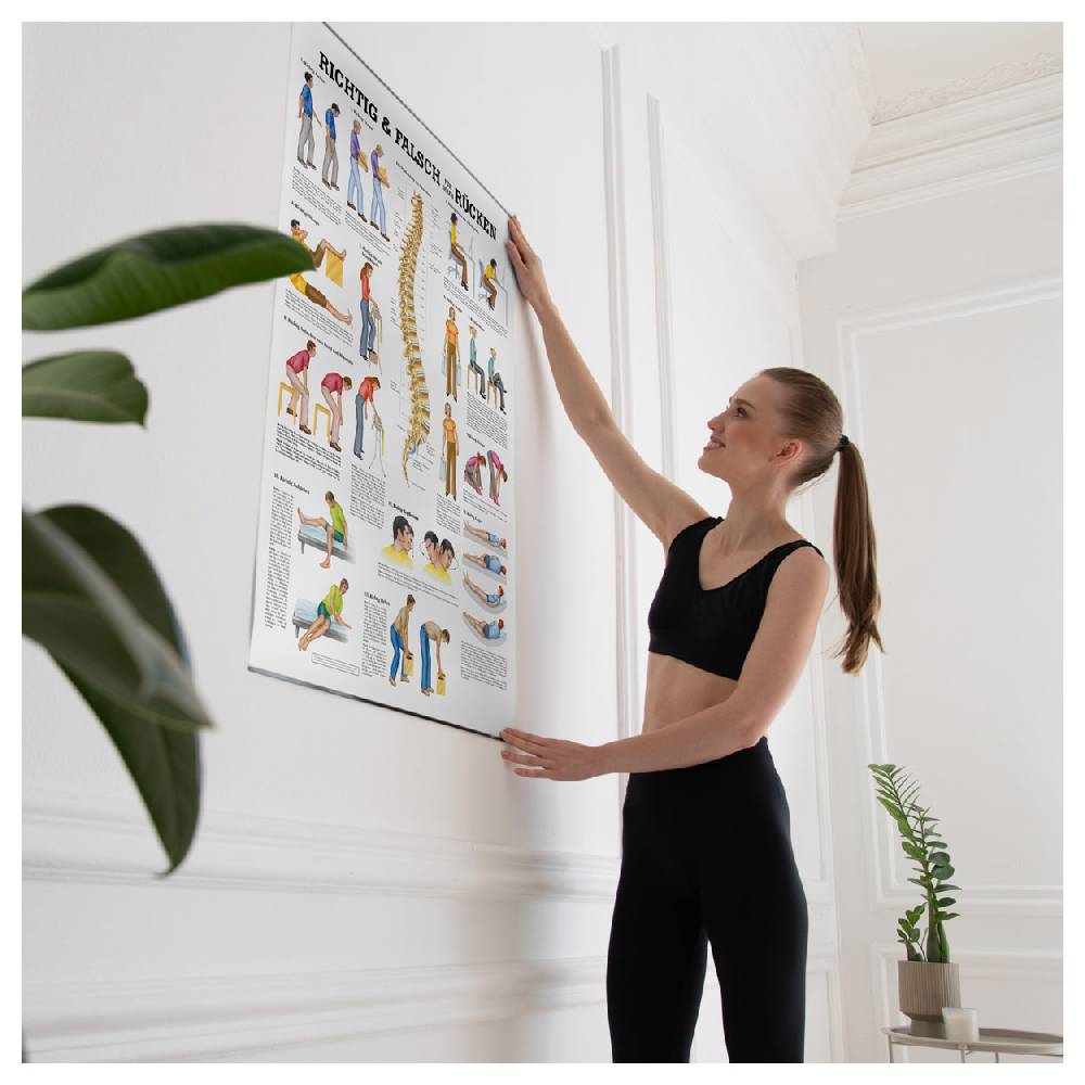 Sport Tec Lehrtafel "Richtig u. falsch für Ihren Rücken", LxB 100x70 cm Kostenloser Versand international