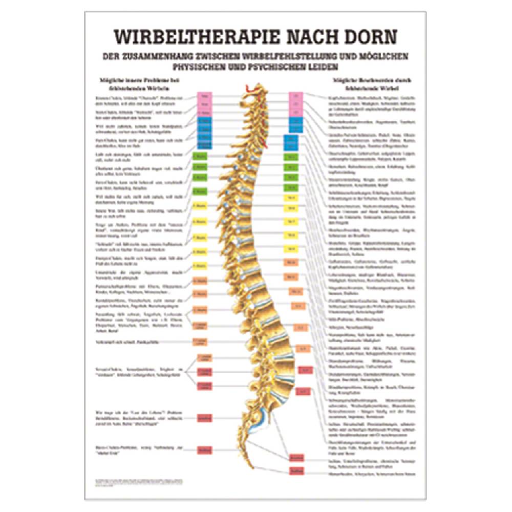 Sport Tec Lehrtafel "Dorntherapie", LxB 100x70 cm