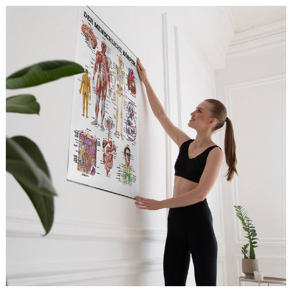 Sport Tec Lehrtafel "Der menschliche Körper", LxB 100x70 cm Black Friday Preise